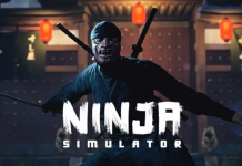 Ninja Simulator Duyuruldu! Ninja Simulator Duyuruldu!